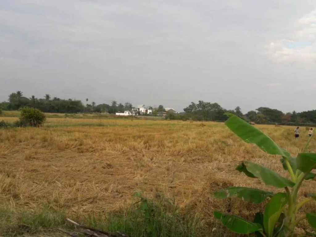 ขายที่ดินติดถนนซุปเปอร์ วงแหวนรอบสอง