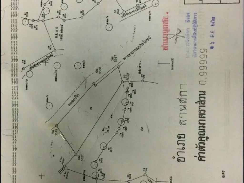 รีสอร์ทติดลำธาร ติดเขาหลวง ติดถนน เนื้อที่ 8 ไร่