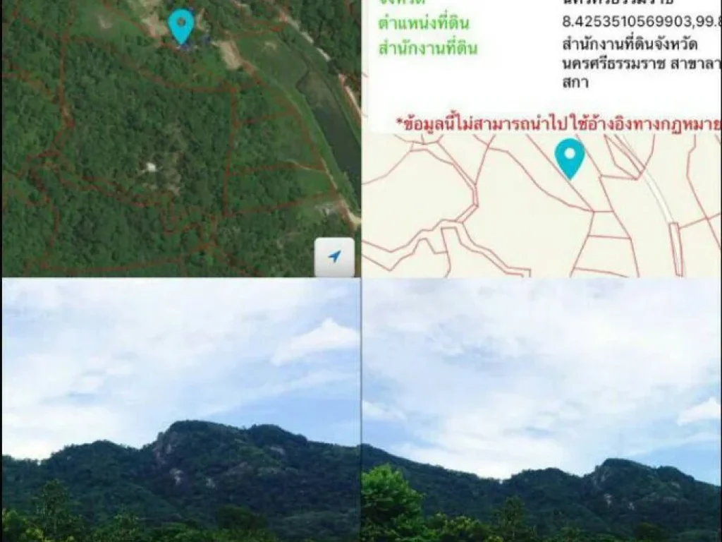 รีสอร์ทติดลำธาร ติดเขาหลวง ติดถนน เนื้อที่ 8 ไร่