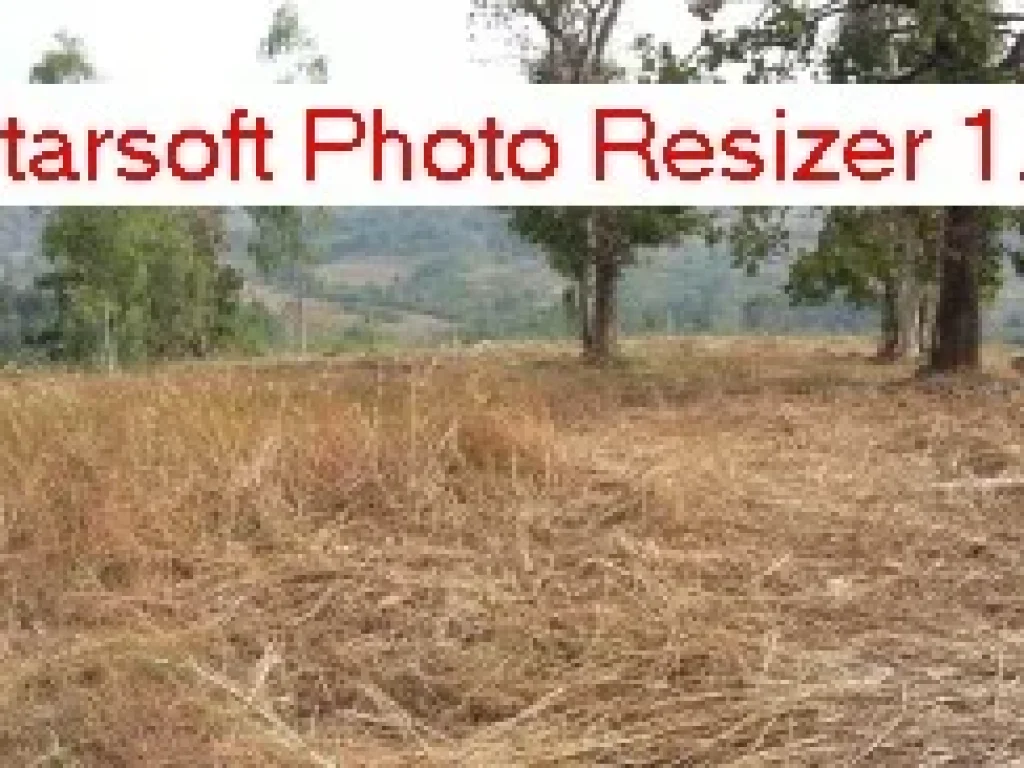 ที่ดิน 4ไร่สวยติดถนนคอนกรีตในหมู่บ้าน น้ำ ไฟฟ้าพร้อม วิว 360 องศา คนต่างชาติซื้อได้