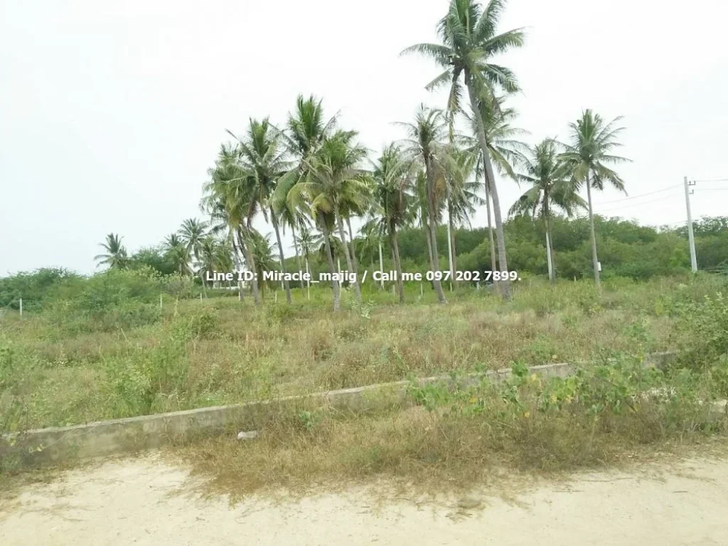 ขายที่ดินสวยติดชายหาดสวย