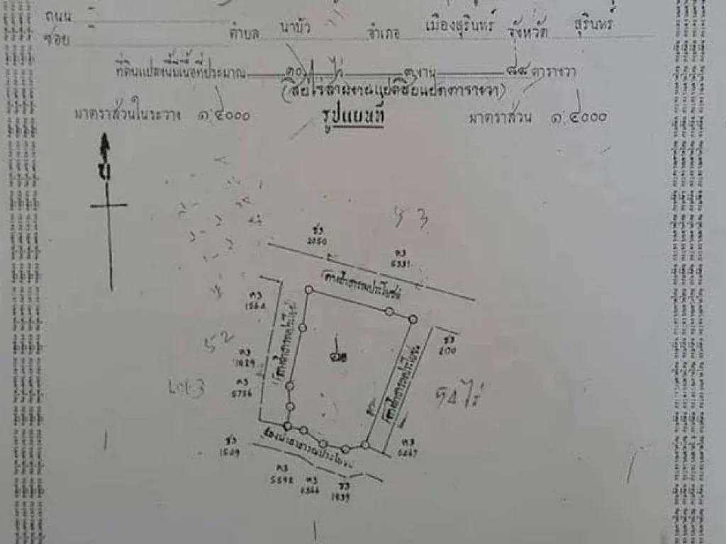 ขายที่ดิน 10 ไร่ 3 งาน 88 ตรว อเมืองสุรินทร์ จสุรินทร์ ยังมีที่ดินติดแปลงนี้อีก