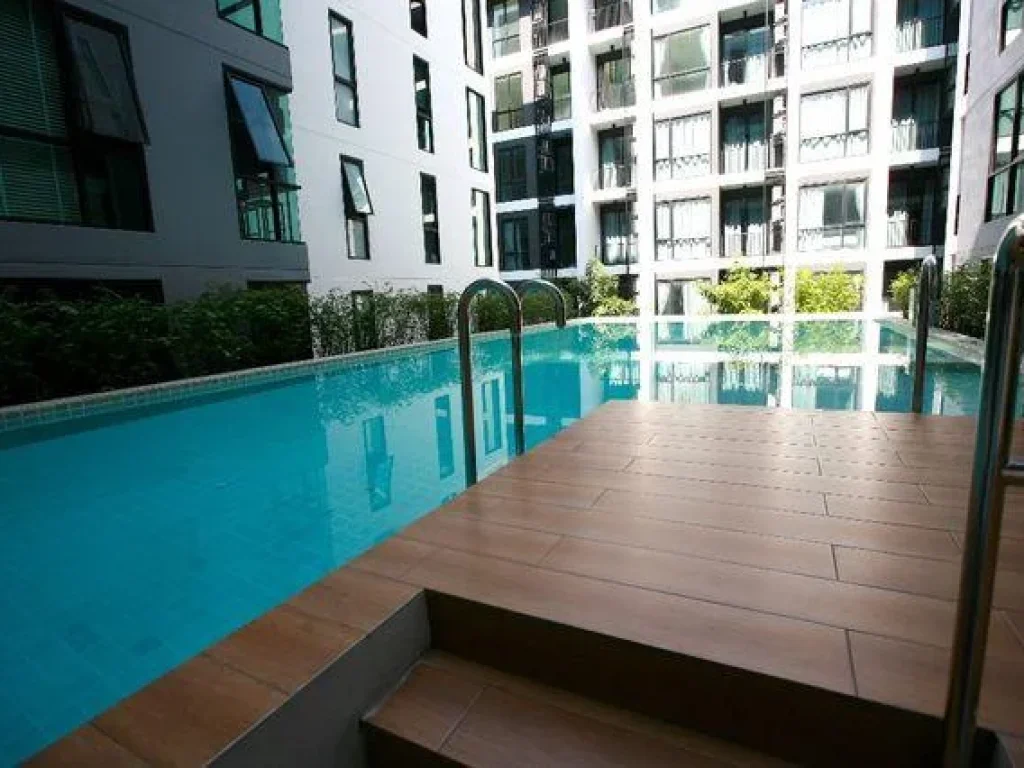 ให้เช่าคอนโดทรีสุขุมวิท 50 Tree Condo Sukhumvit 50 ใกล้BTSอ่อนนุช