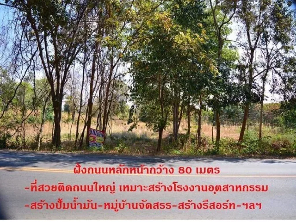 ขายที่ดินติดถนนใหญ่ 152 ไร่ ที่ดินสวยมาก