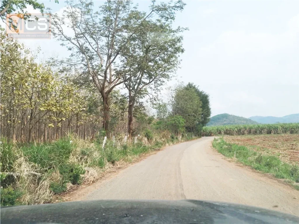 ขายที่ดิน เขาใหญ่ ถูกมาก 19 ไร่ วิวภูเขา