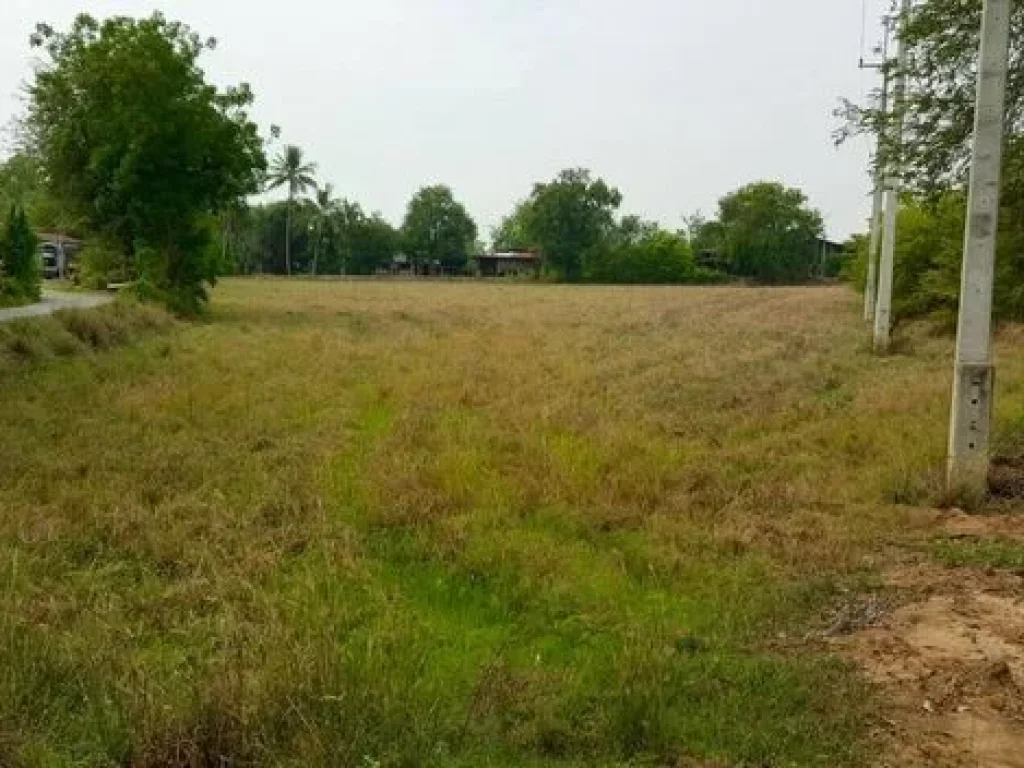 ขายที่ดิน ติดถนน ศรีประจันต์