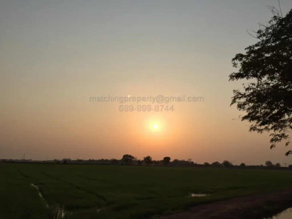 ขายที่ดิน 17 ไร่ อำเภออุทัย อยุธยา ใกล้นิคมฯโรจนะ แปลงสวย ทำเลดี