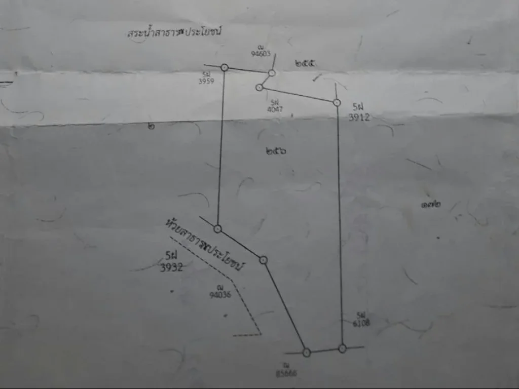 ขายที่ดินที่นา