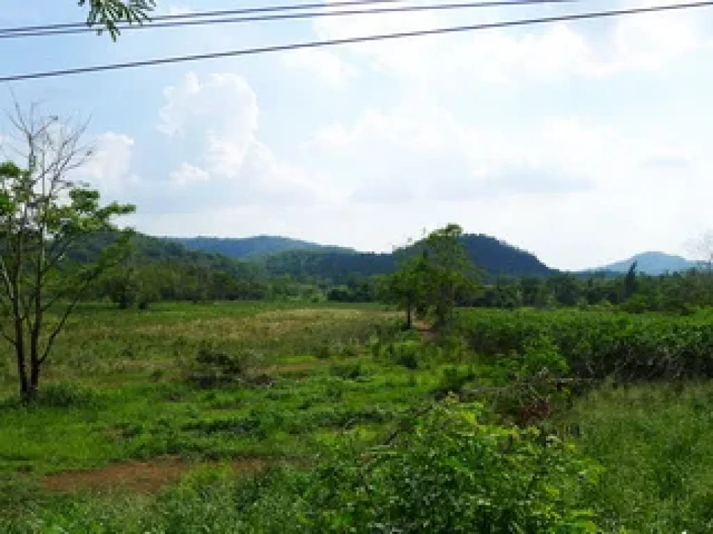 ที่ดิน สระบุรี-แก่งคอย ถนนมิตรภาพ อแก่งคอย จสระบุรี