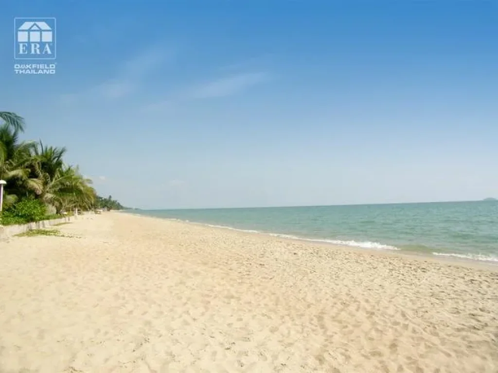 ขายถูก ที่ดินริมทะเลหาดแม่พิมพ์ 10 ไร่ ตรงข้ามคริสตัลบีช เหมาะทำอาคารสูง วิวทะเลสวย