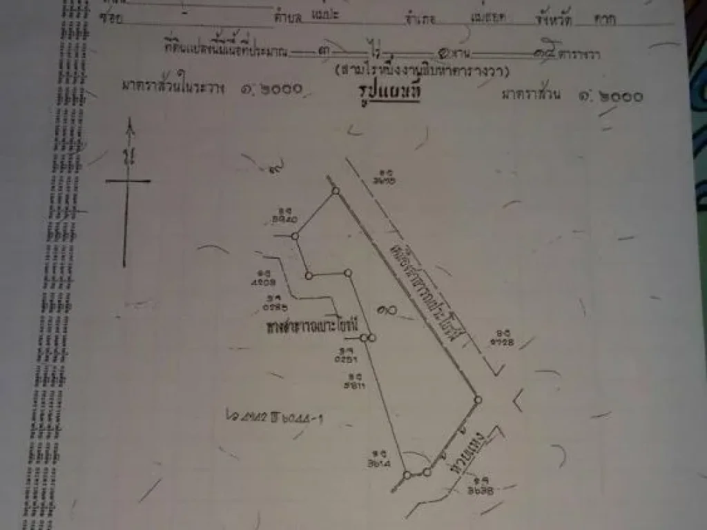 ขายที่ดิน ทำเลทอง มีโฉนด พื้นที่เขตเศรษฐกิจพิเศษ