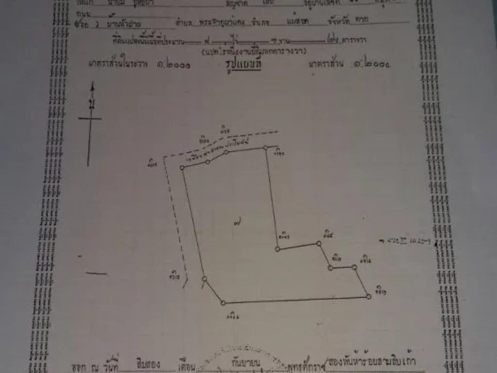 ขายที่ดิน ทำเลทอง มีโฉนด พื้นที่เขตเศรษฐกิจพิเศษ