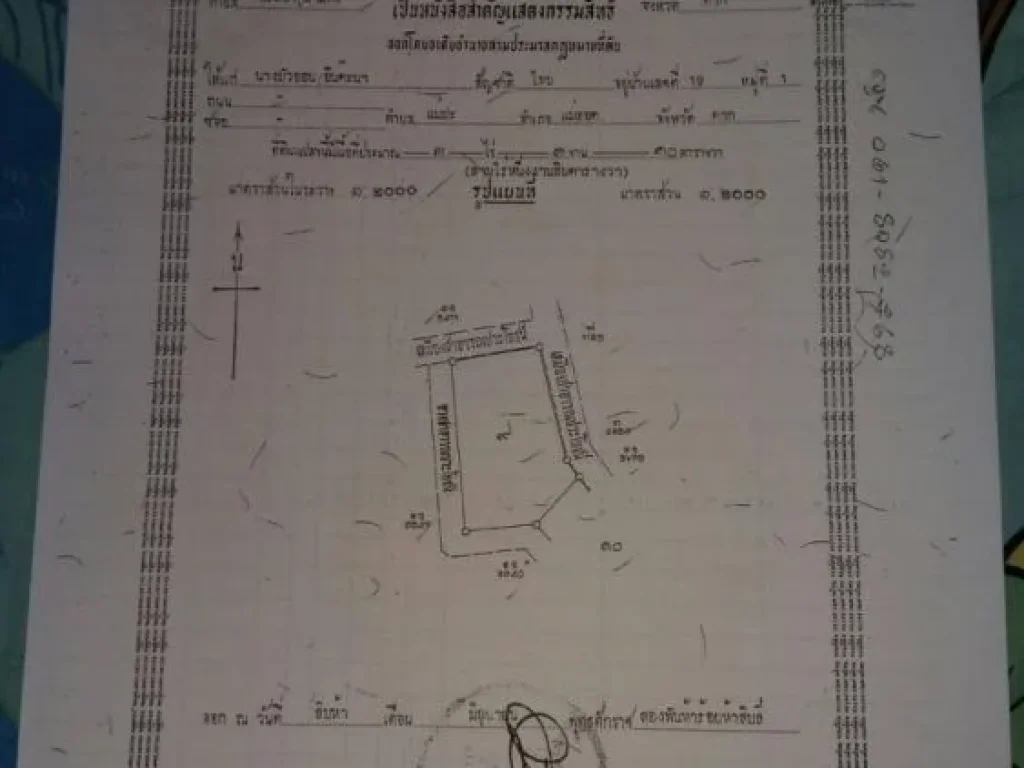 ขายที่ดิน ทำเลทอง มีโฉนด พื้นที่เขตเศรษฐกิจพิเศษ