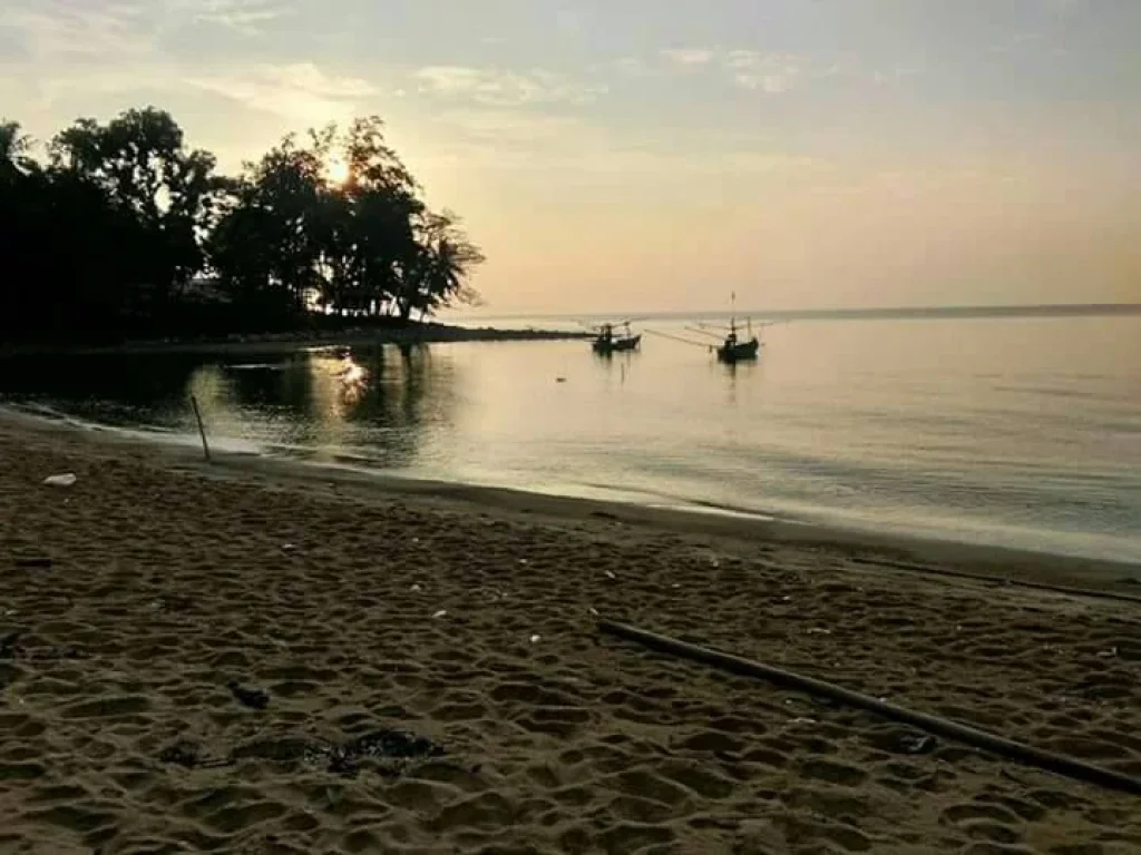 ขายด่วน ที่ดิน 2 ไร่ ติดถนนเส้นเลียบชายทะเลหาดคอเขา อหลังสวน จชุมพร