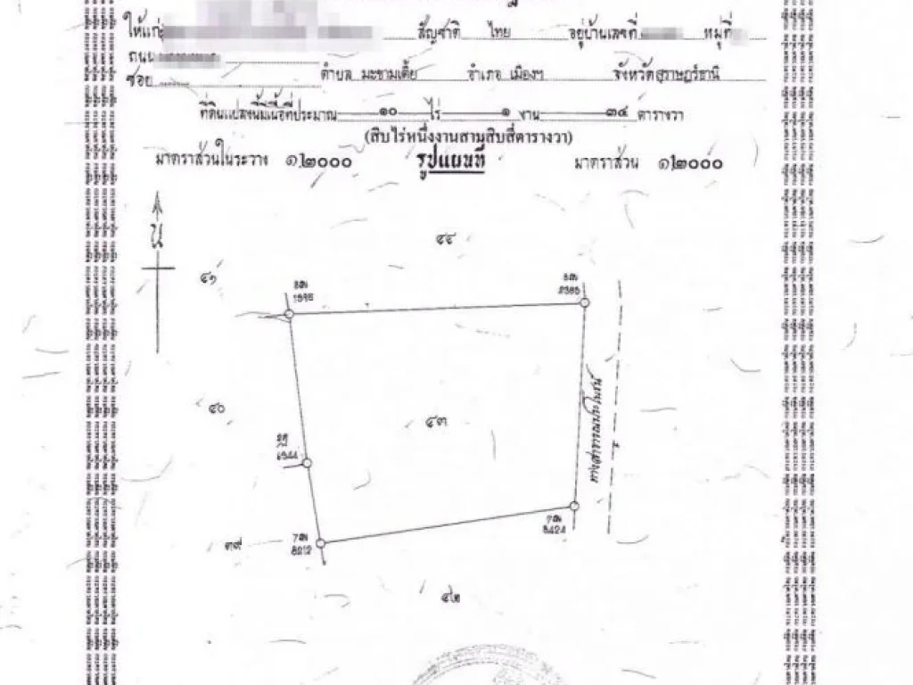 ที่ดินสวนปาล์ม ห่างจาก CO-OP สฎ ประมาณ 4 กม ราคาเพียง 2790000 ฿