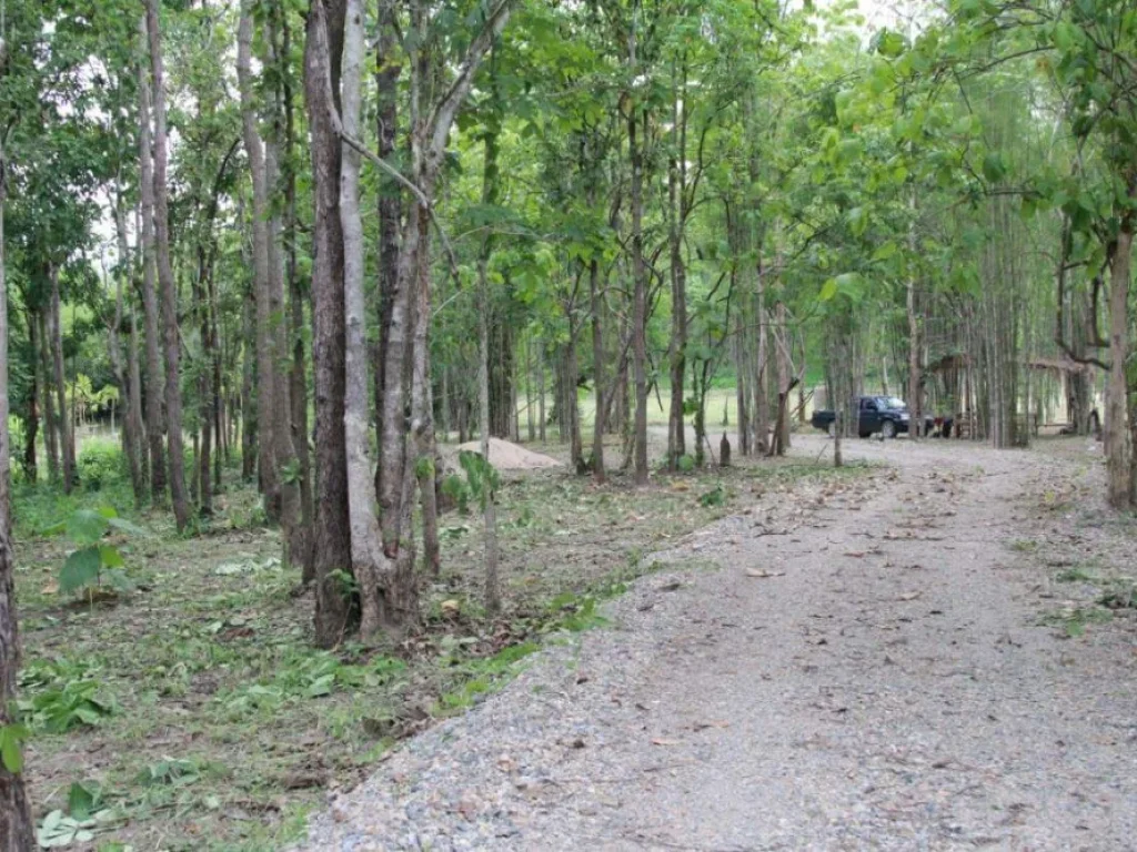 ขายที่ดินทำบ้านพักตากอากาศ