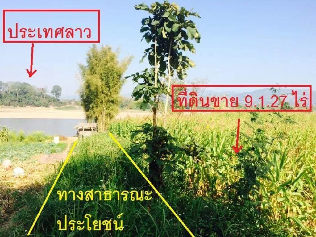 ขายที่ดินติดแม่นำ้โขง