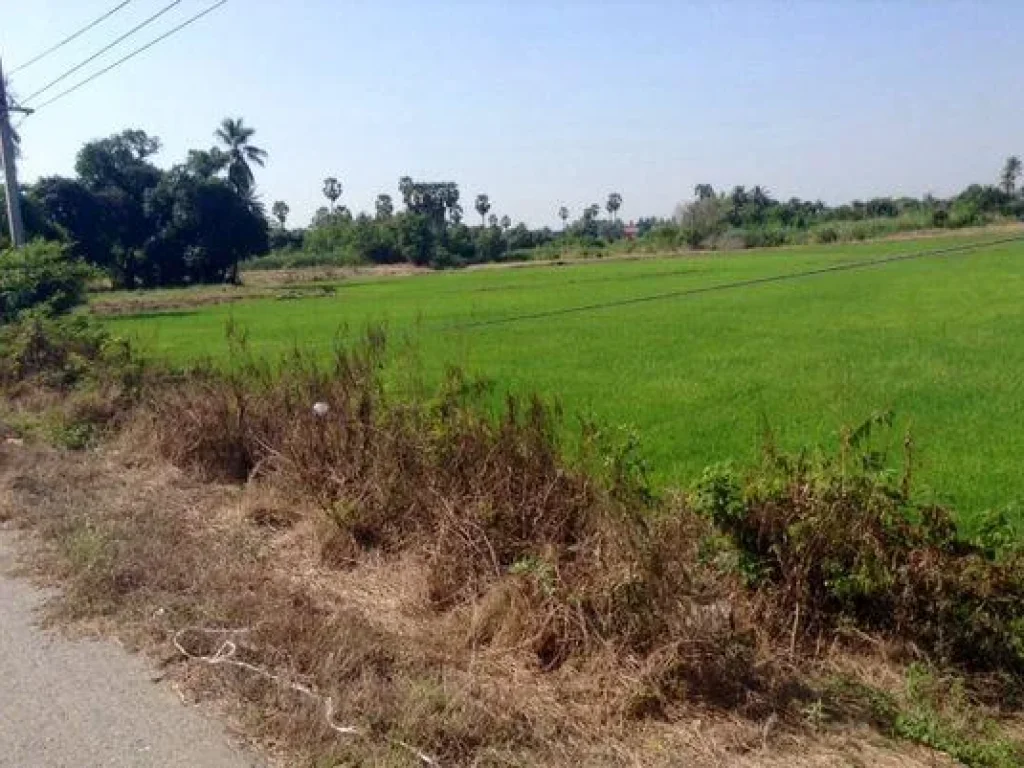 ขายที่ดินติดถนน ใกล้โรงเรียนกีฬาสุพรรณฯ