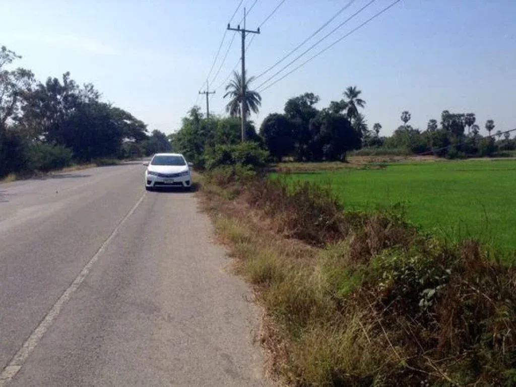 ขายที่ดินติดถนน ใกล้โรงเรียนกีฬาสุพรรณฯ