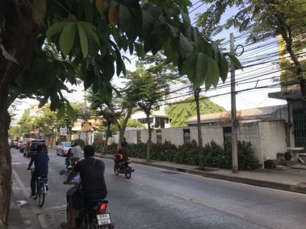 ขายที่ดินแปลงถนนสุขุมวิท 1011 ใกล้รถไฟฟ้า อุดมสุข ปุณณวิธี