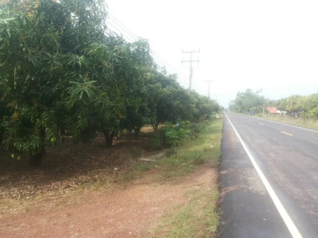 ขายที่ดิน จังหวัดพิจิตร