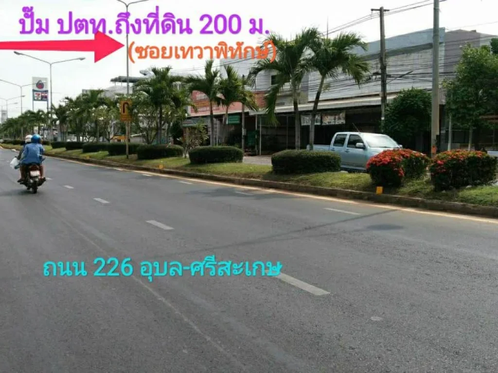 ขายที่ดินหลังตลาดยูเทิร์น เขตเทศบาลเมืองศรีสะเกษ