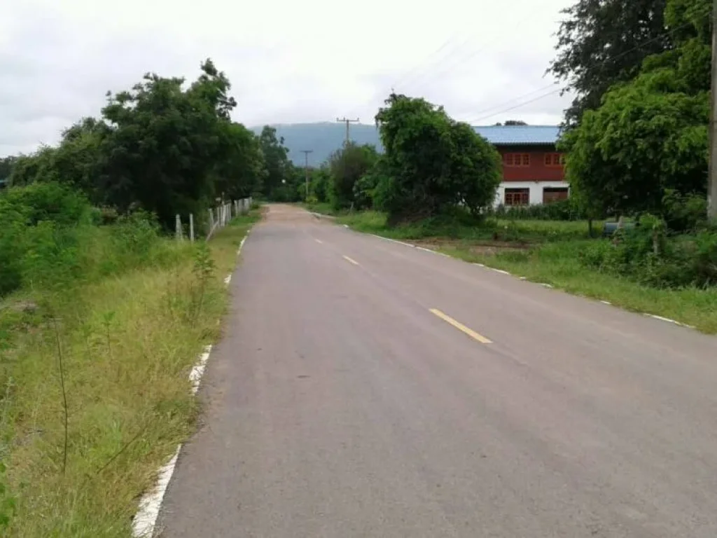 ขายที่ดิน 30 ไร่ ซบ้านห้วยฝรั่ง ตวะตะแบก อเทพสถิต จชัยภูมิ