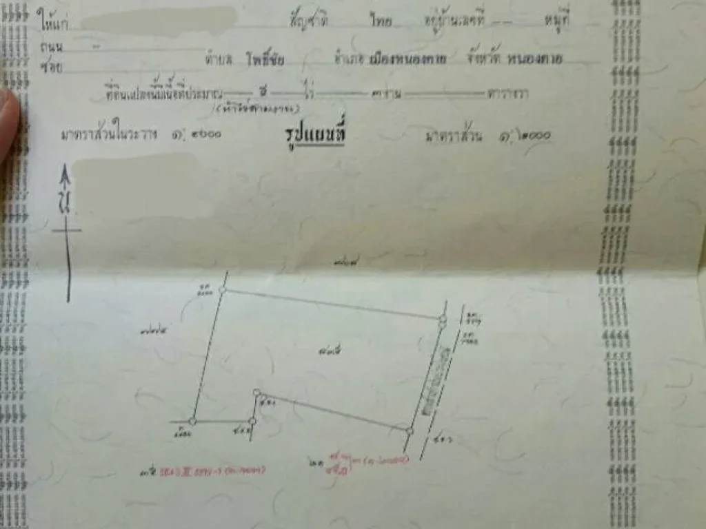 ขายที่ดิน 3ไร่ 3งาน ราคา 165ล้านบาท ยกแปลง ตห้วยยาง อเมือง จสกลนคร