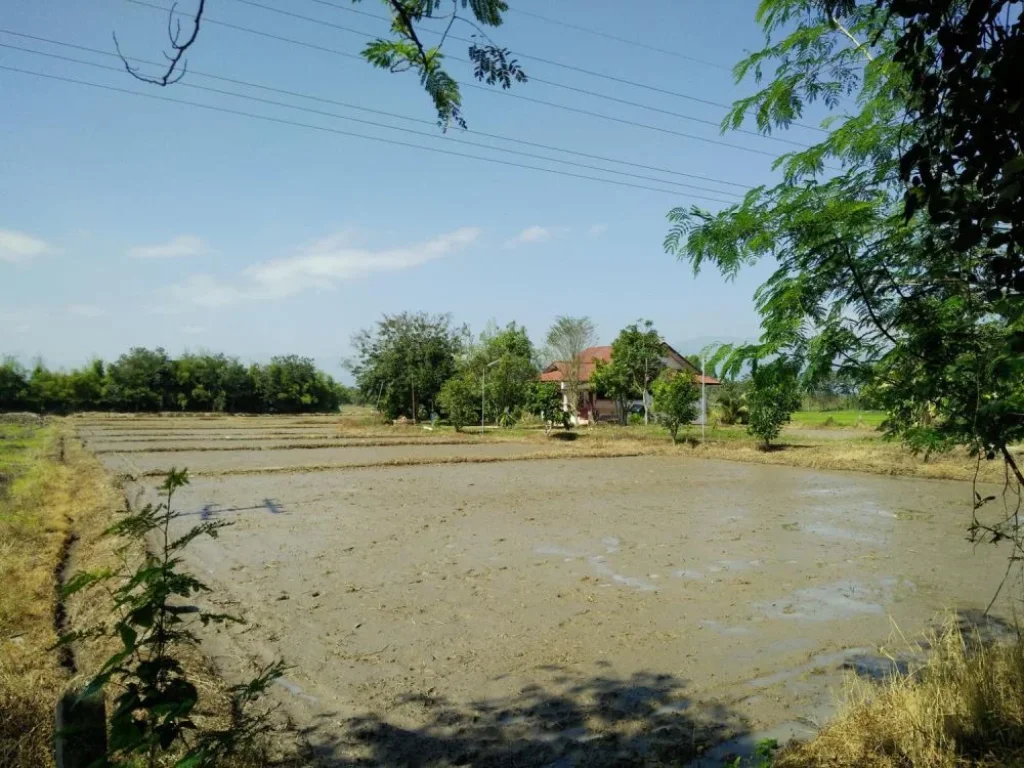 ขายที่ดินพร้อมบ้านใกล้โรงเรียนฉือจี้เชียงใหม่