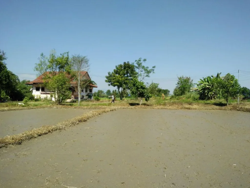 ขายที่ดินพร้อมบ้านใกล้โรงเรียนฉือจี้เชียงใหม่