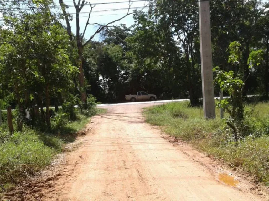 ขายที่ดิน 50ไร่ ติดถนนสุระนารายณ์ ตห้วยยายจิ๋ว อเทพสถิต จชัยภูมิ