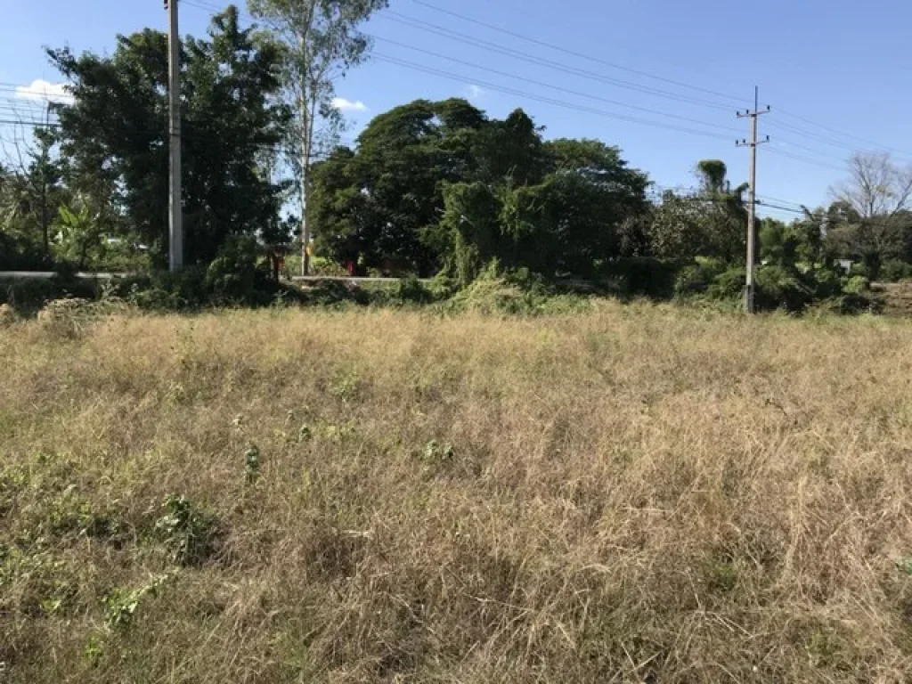 ขาย ที่ดินเปล่า ตำบลวัดพริก ติดถนนใหญ่ ทำเลตี ถมเรียบร้อย