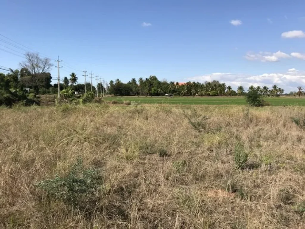 ขาย ที่ดินเปล่า ตำบลวัดพริก ติดถนนใหญ่ ทำเลตี ถมเรียบร้อย