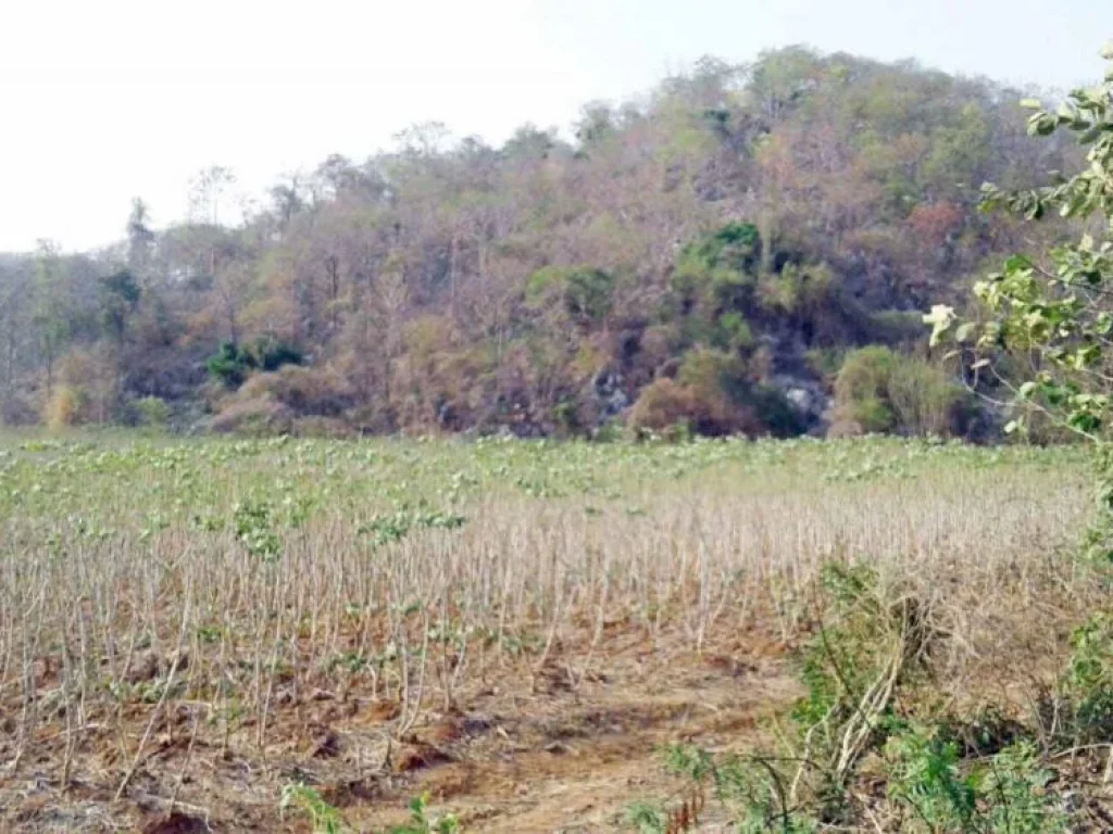 ขายที่ดิน แปลงสวย 21 ไร่ ติดภูเขา เขตพระพุทธบาท