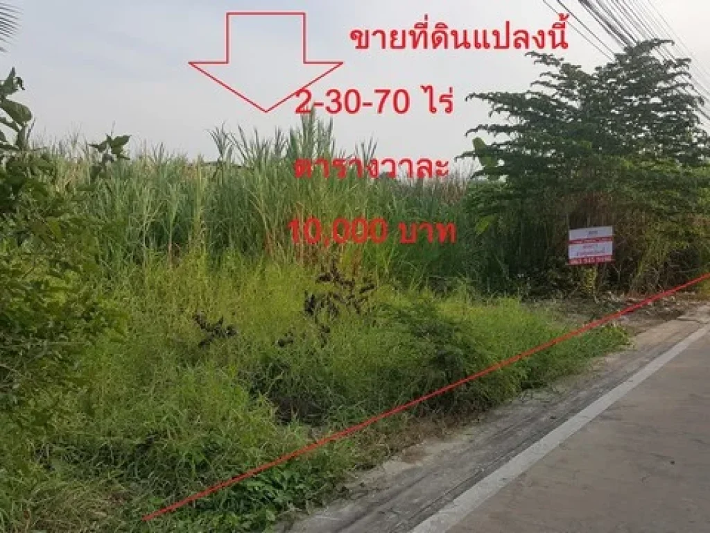 ขายที่ดินสมุทรสาคร บนถนนเศรษฐกิจ ซอย7 ที่ดิน เกือบ 3 ราคาถูกกว่าราคาประเมิน