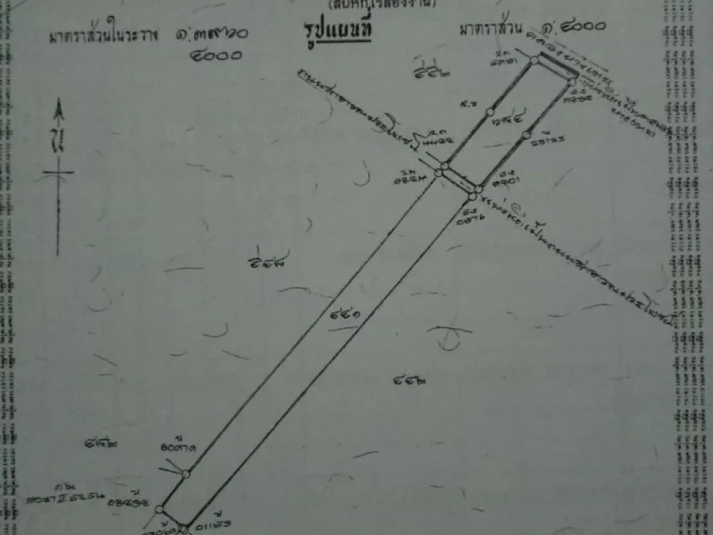 ขายที่ดินลาดหลุมแก้ว 11-2-945 ไร่ ตบางคูหลวง จปทุมธานี เข้าซอยวัดจันทราราม บางเตย