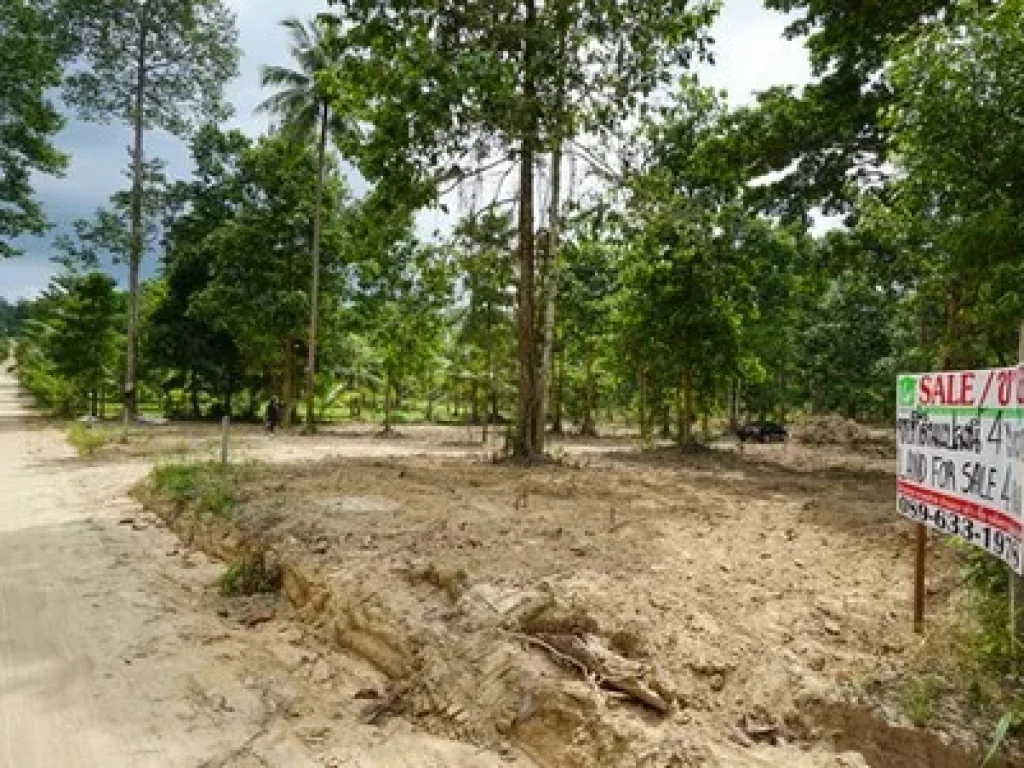 Land for Sale in Koh Samui 4 Rai near Taling Ngam beach best location very Quiet place good for make Villa project Etc