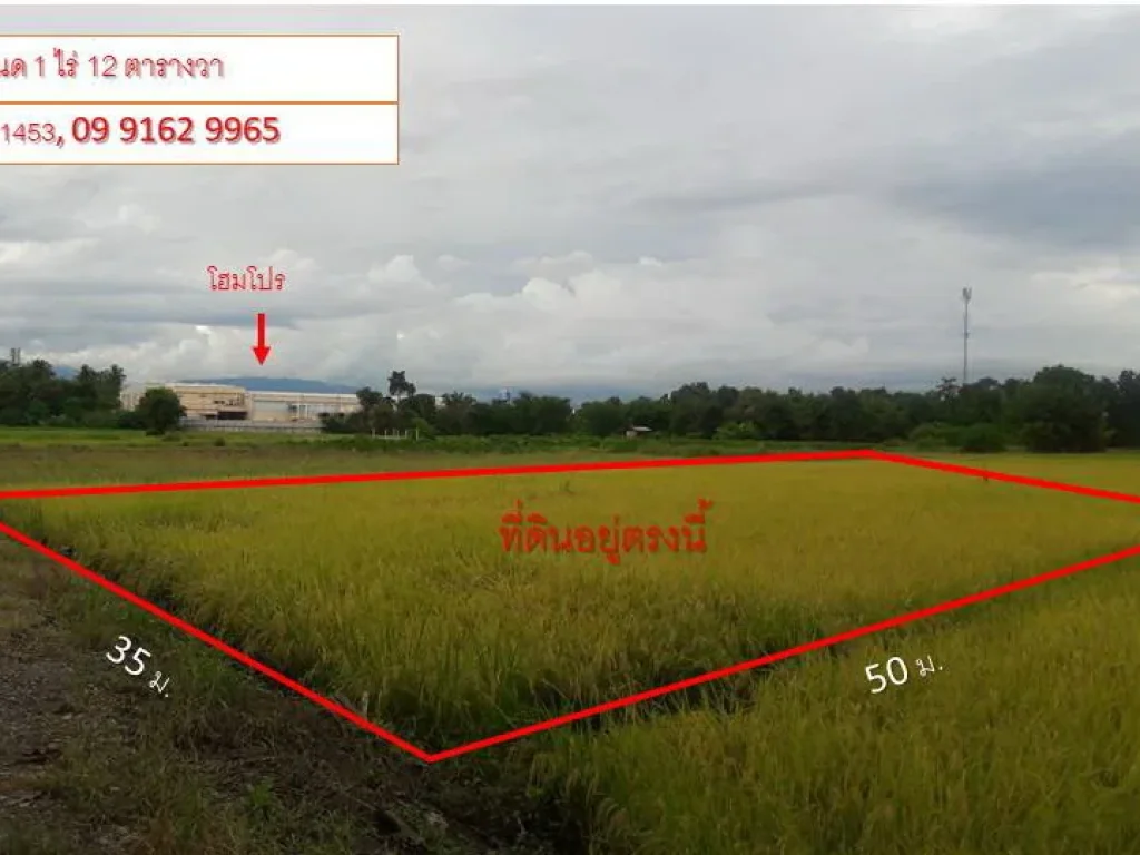 ขายที่ดินโฉนด 1 ไร่ 12 ตารางวา ด้านหลังโฮมโปรเพชรบูรณ์ ราคาเพียง 800000 บาท