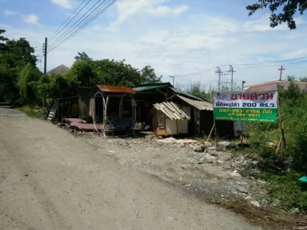 ขายที่ดินลาดกระบัง ทำเลดีย่านชุมชน ใกล้สนามบินสุวรรณภูมิ