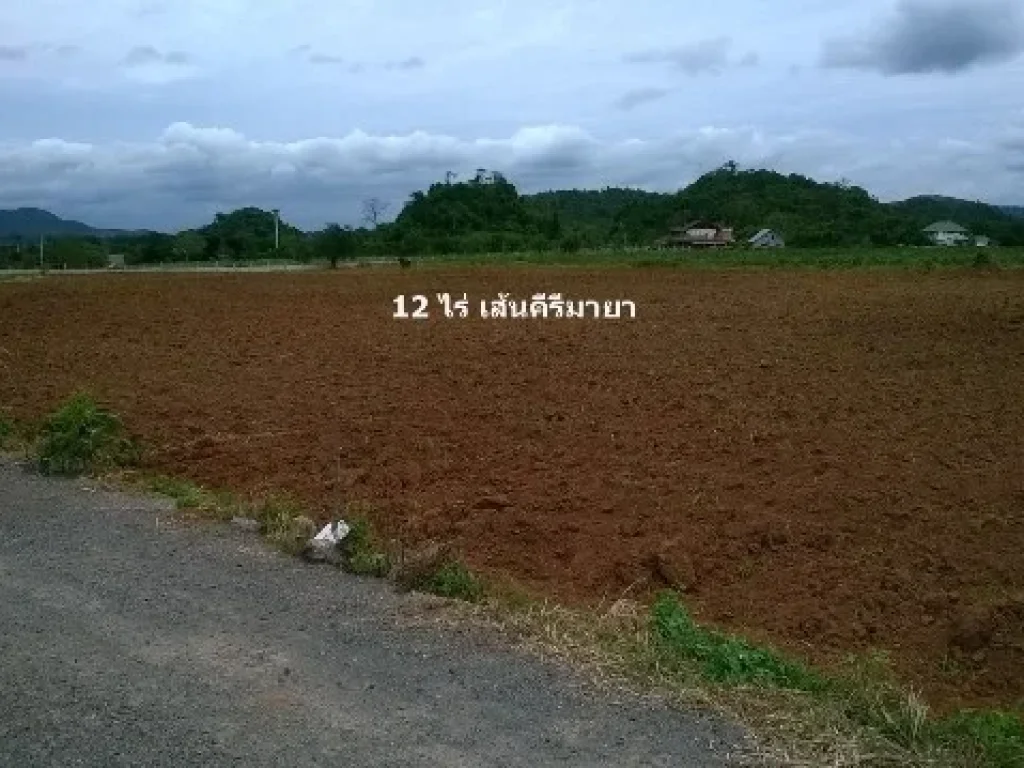 ขายที่ดินถนนเส้นคีรีมายา หมูสี เขาใหญ่ 12ไร่ วิวเขาใหญ่ 180 องศา หน้าติดถนนลูกรังอัดบด โฉนดพร้อมโอน