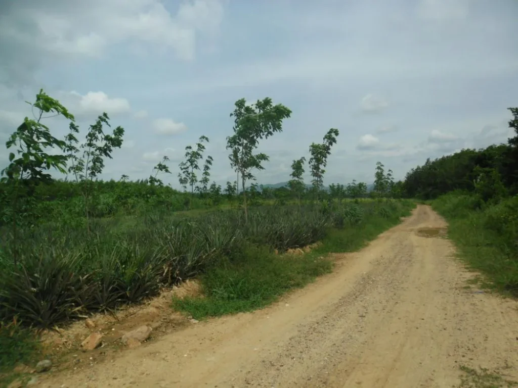 ที่ดินทำเกษตรหรือที่อยู่อาศัย