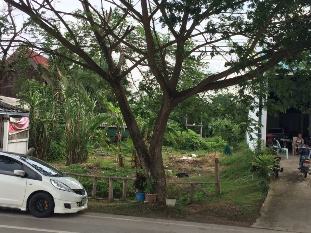 ขายที่ดิน 105 ตรว บ่อแฮ้ว ใกล้ตลาดท่าขัว ลำปาง