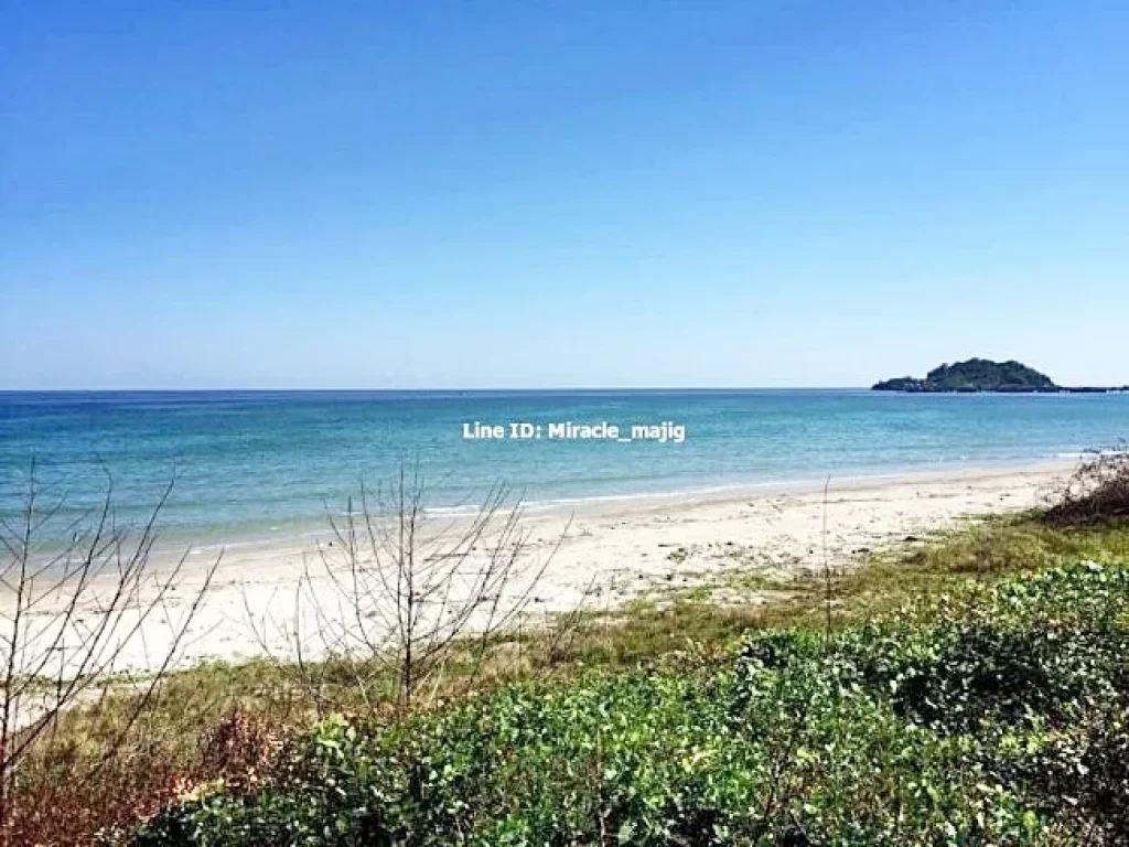 ขายที่ดินติดชายหาดปลูกบ้านพักตากอากาศ