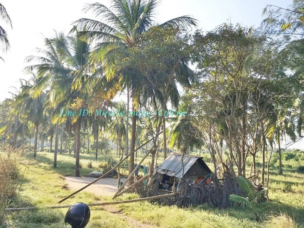 ขายที่ดินติดชายหาดดอนสำราญบางสะพาน