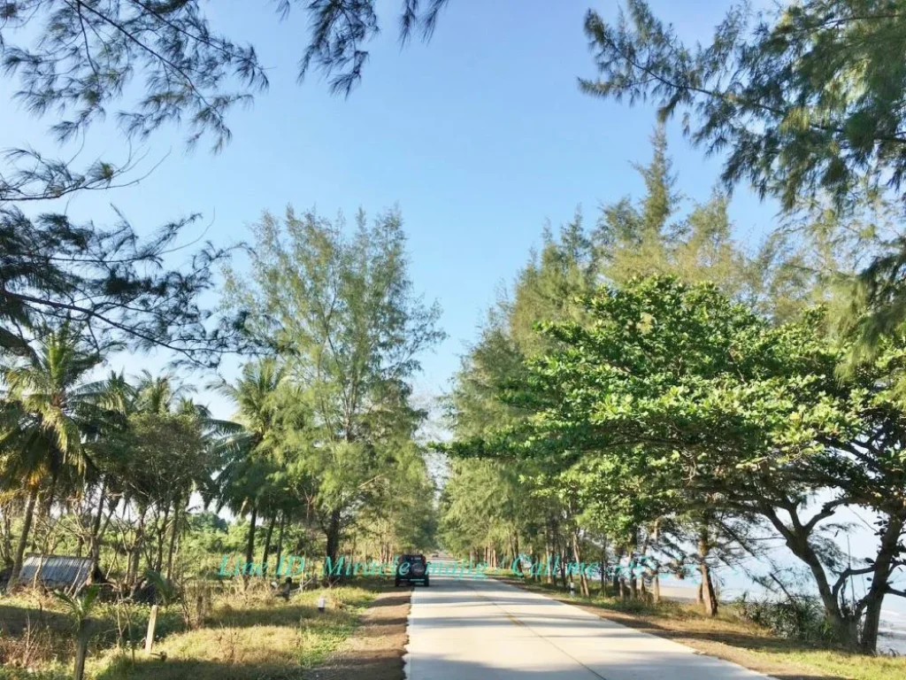 ขายที่ดินติดชายหาดดอนสำราญบางสะพาน