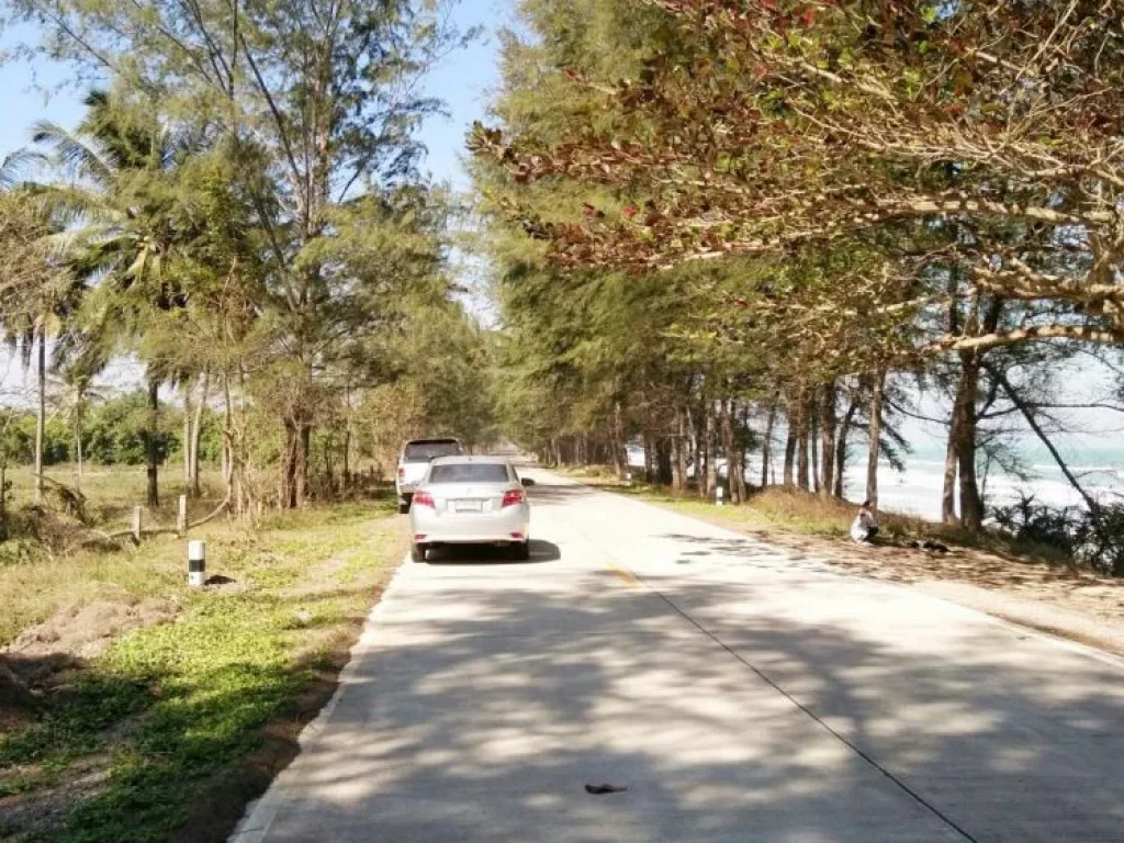 ขายที่ดินติดชายหาดดอนสำราญบางสะพาน