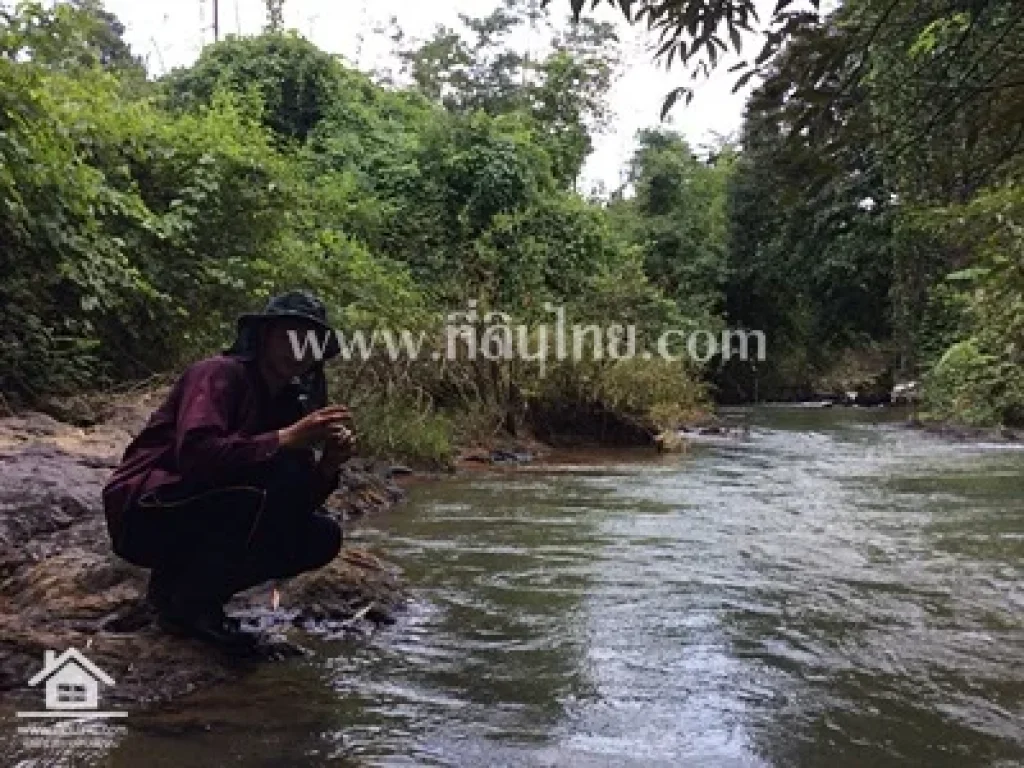 ที่ดินแบ่งขายปัถวี-มะขามจันทบุรี นส3 13-3-3ไร่ ตปัถวี ตมะขาม จจันทบุรี รหัส 3894