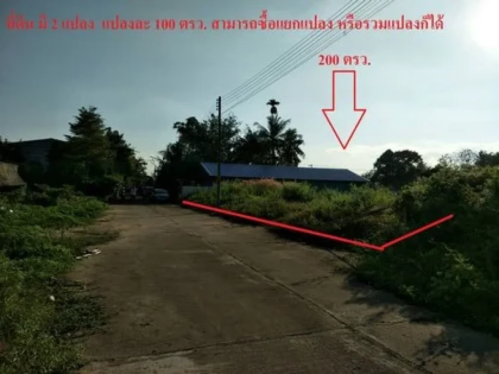 ขายที่ดิน 100 ตรว 2 แปลงติดกัน อยู่ ตป่าไผ่ อสันทราย จเชียงใหม่