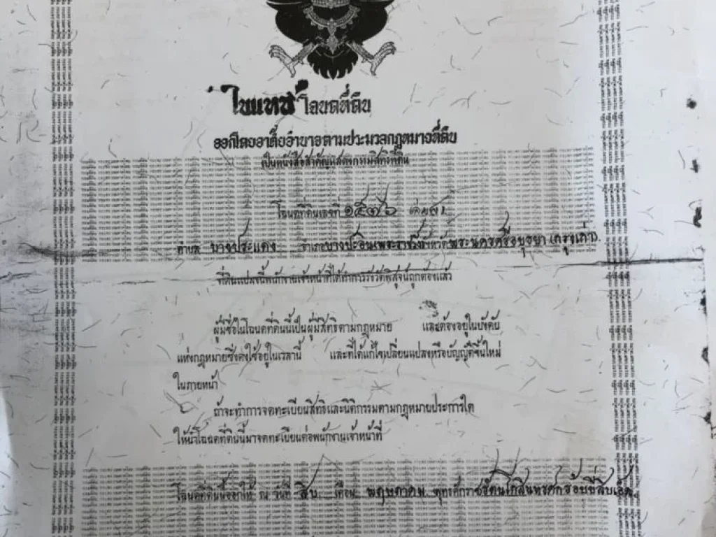 ขายที่ดินอยุธยาด่วน แปลงสวย ทำเลทอง 68 ไร่ 2 งาน ขายยกแปลง 90 ล้านบาท