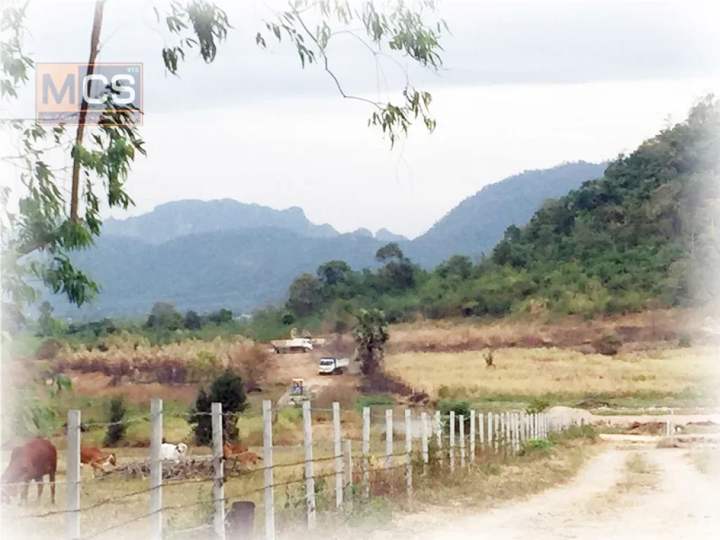 ขายที่ดิน 21 ไร่ ทำเลดี ใกล้ถนนมิตรภาพ